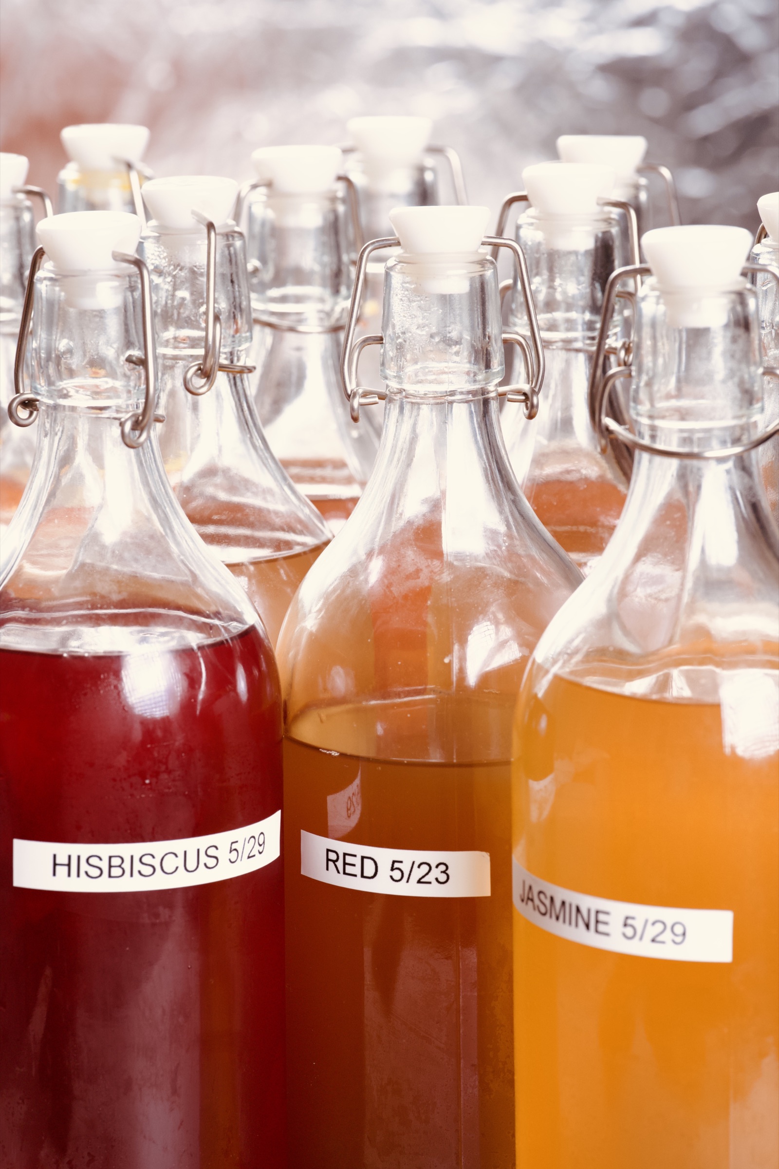 Bottled kombucha batches labeled by flavor and date — hibiscus, red, and jasmine