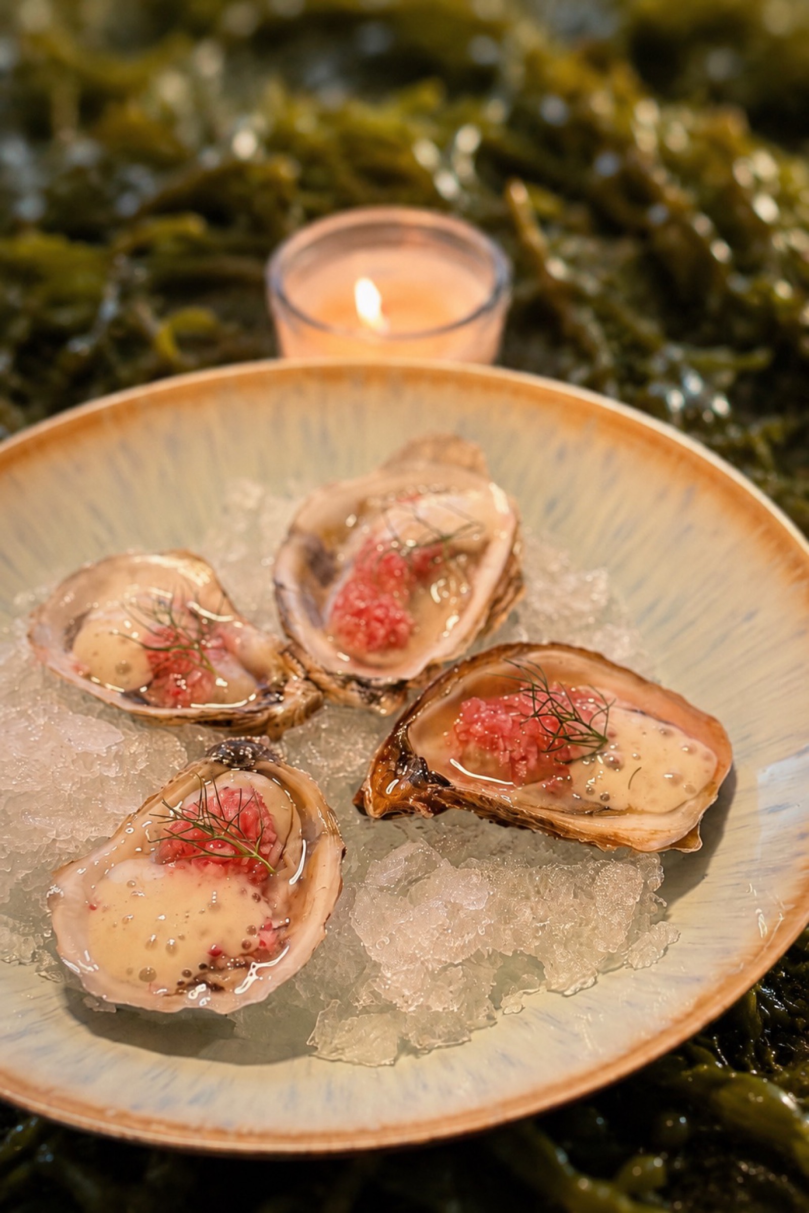 Oysters dressed with a pink tartare topping and fennel fronds, served on ice by candlelight