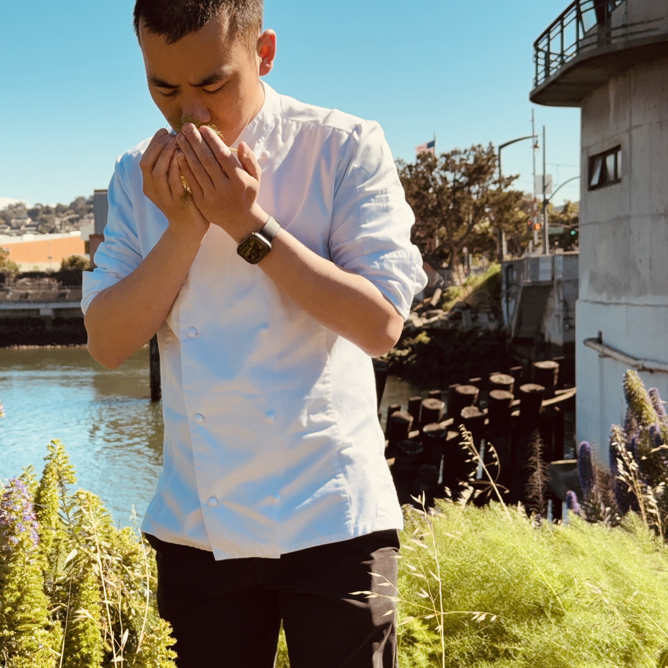 Chef Desmond Ho smelling fresh foraged herbs by the waterfront