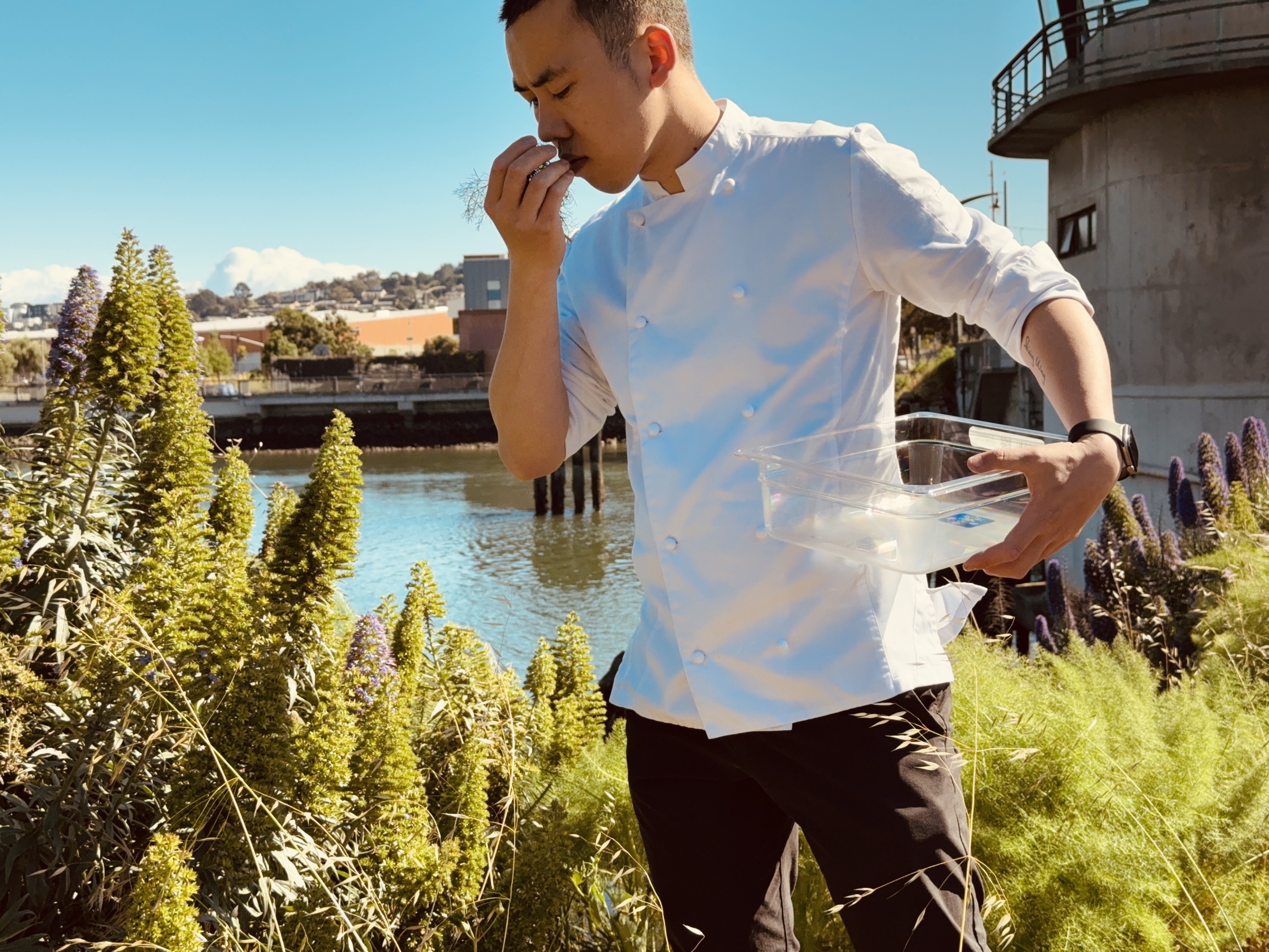 Chef Desmond Ho smelling a foraged herb beside the water, a clear container in hand